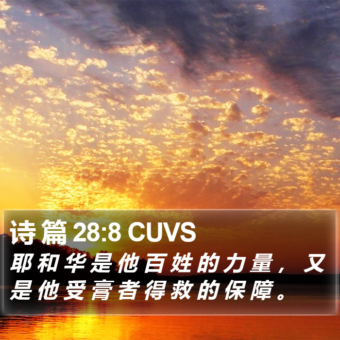 诗 篇 28:8 CUVS Bible Study