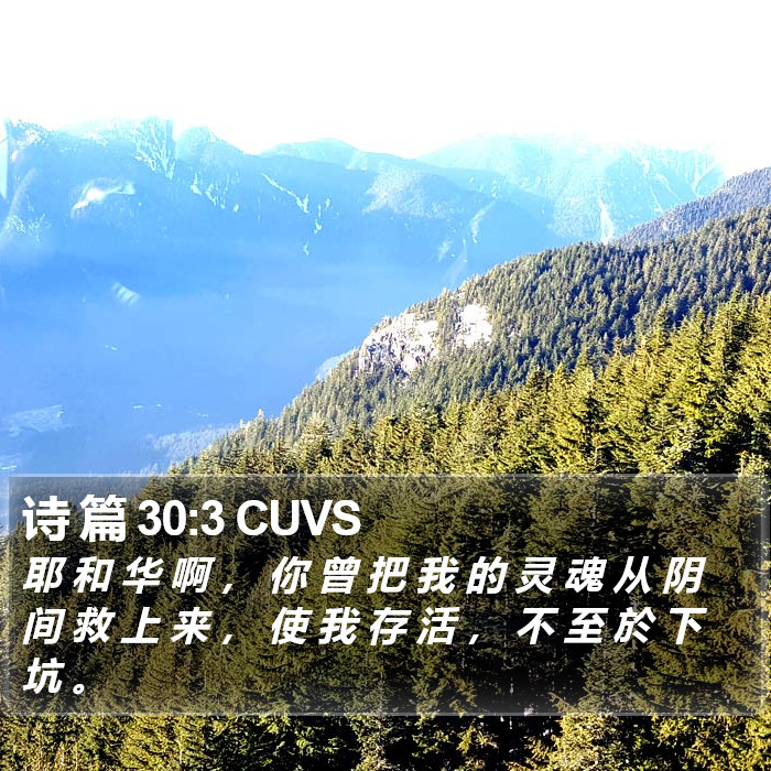 诗 篇 30:3 CUVS Bible Study