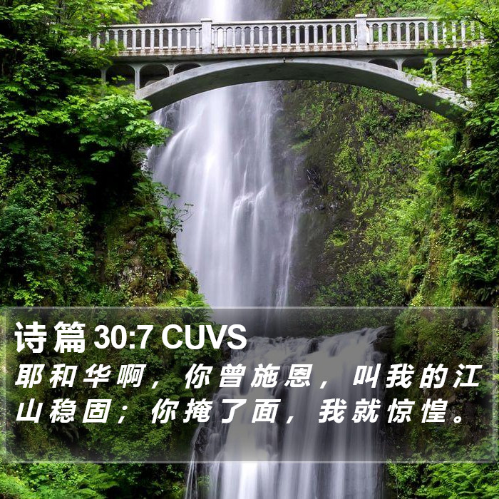 诗 篇 30:7 CUVS Bible Study