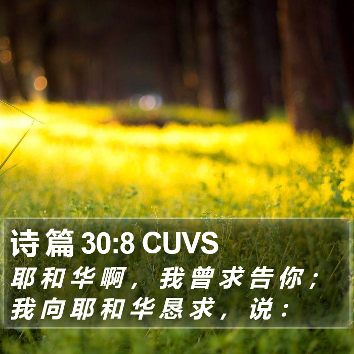 诗 篇 30:8 CUVS Bible Study