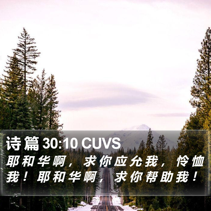 诗 篇 30:10 CUVS Bible Study
