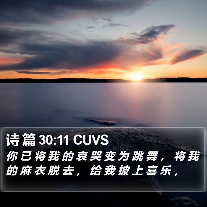 诗 篇 30:11 CUVS Bible Study