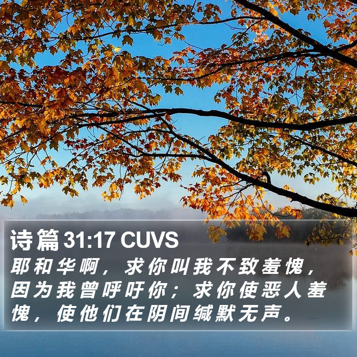诗 篇 31:17 CUVS Bible Study