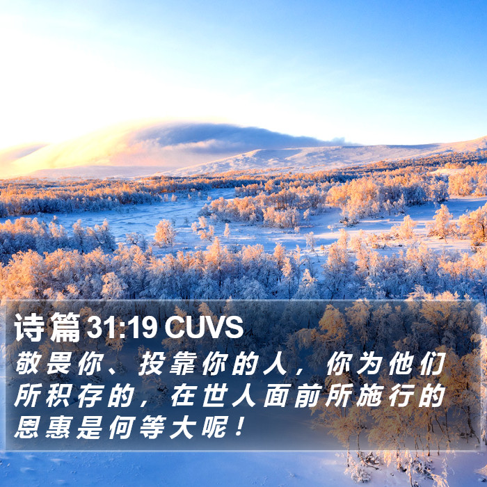 诗 篇 31:19 CUVS Bible Study