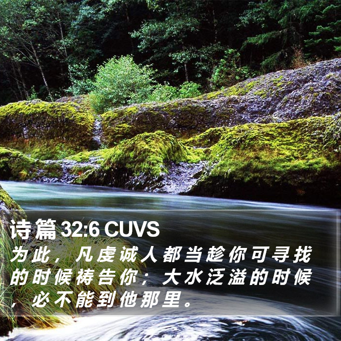 诗 篇 32:6 CUVS Bible Study