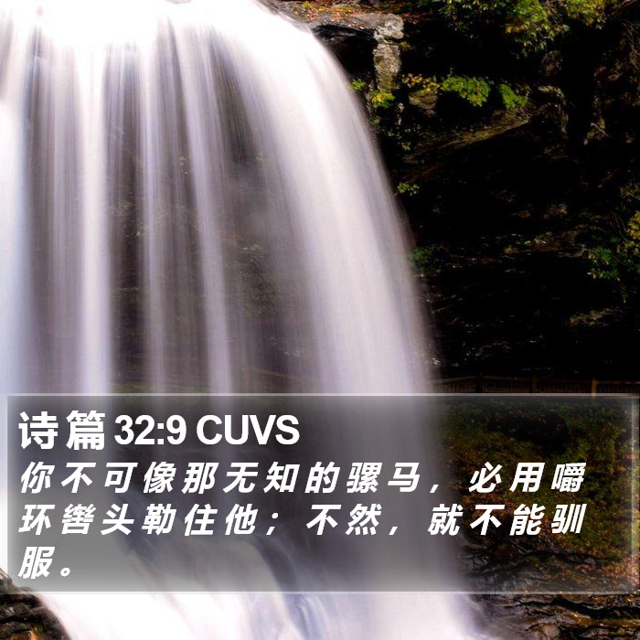 诗 篇 32:9 CUVS Bible Study