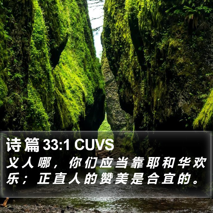 诗 篇 33:1 CUVS Bible Study