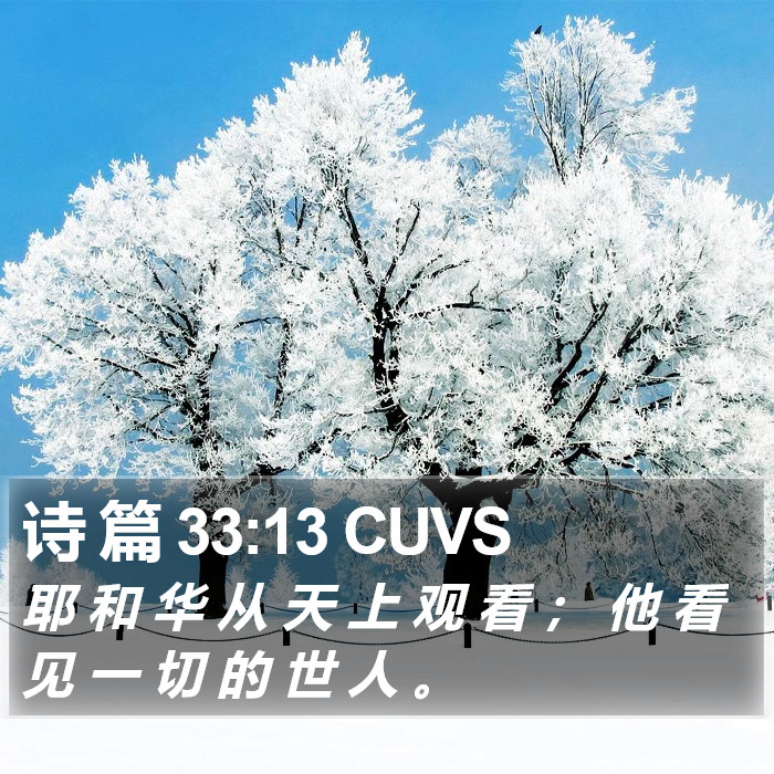 诗 篇 33:13 CUVS Bible Study