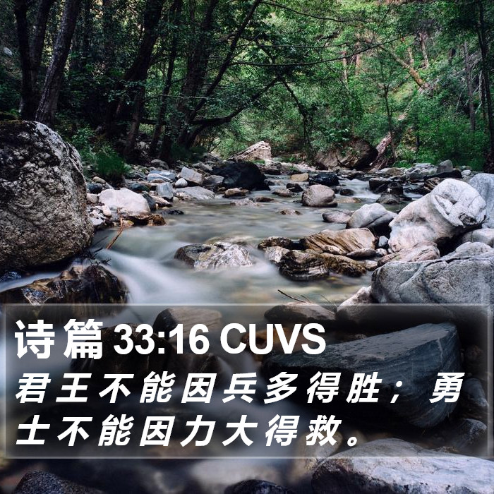 诗 篇 33:16 CUVS Bible Study