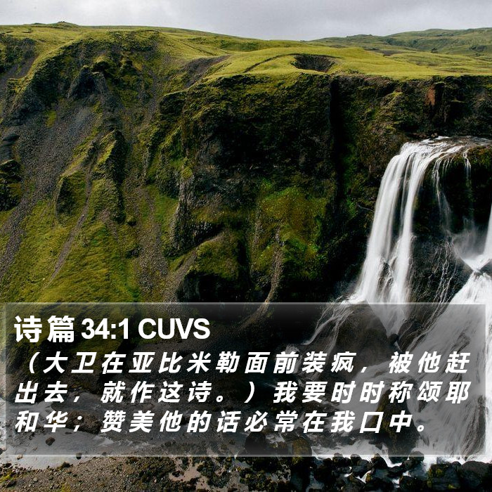 诗 篇 34:1 CUVS Bible Study