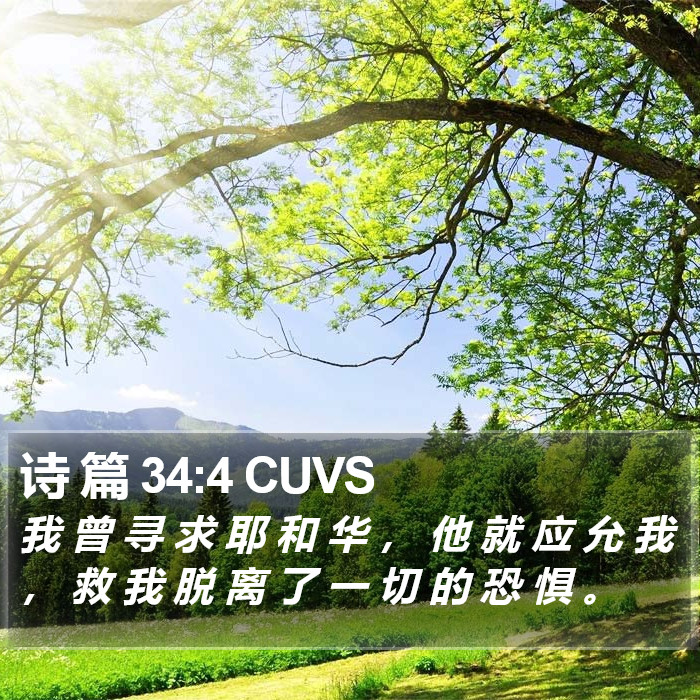 诗 篇 34:4 CUVS Bible Study