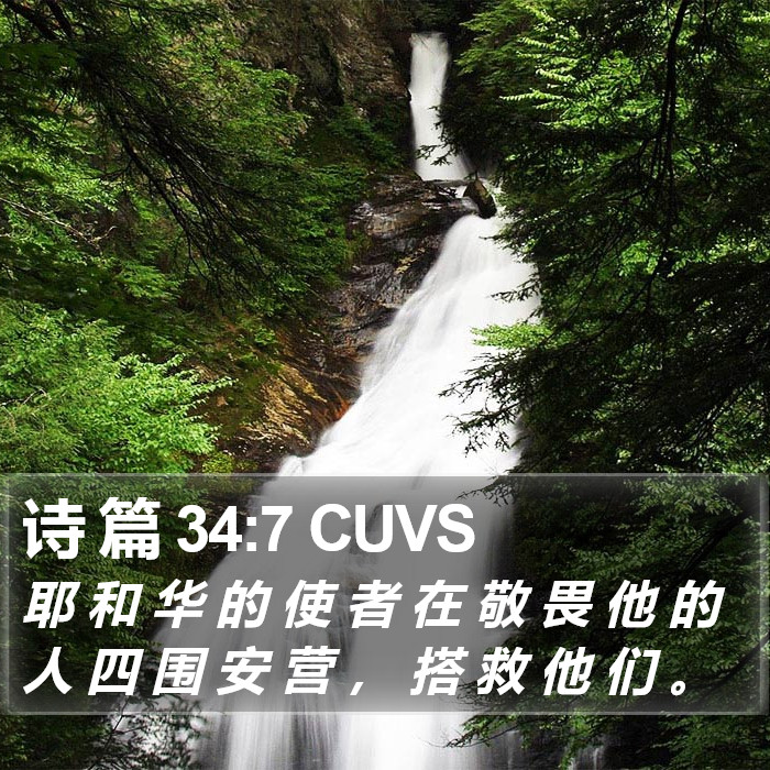 诗 篇 34:7 CUVS Bible Study