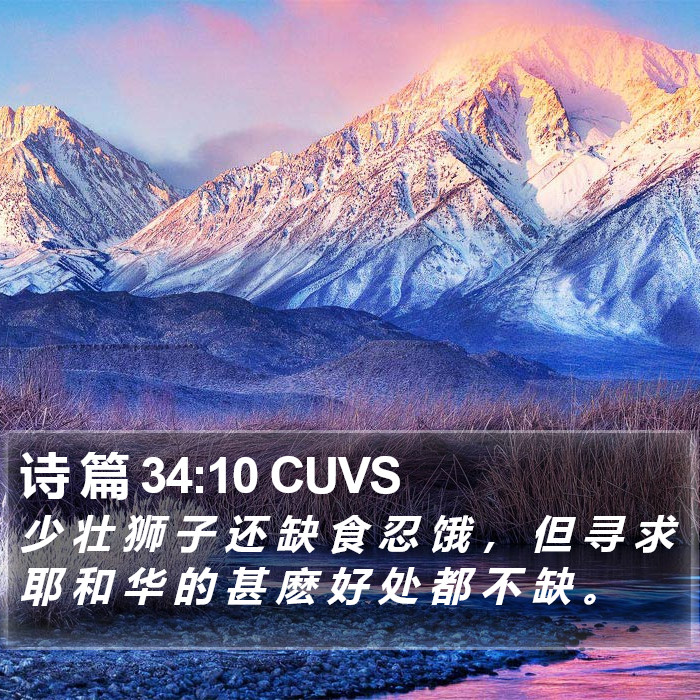 诗 篇 34:10 CUVS Bible Study