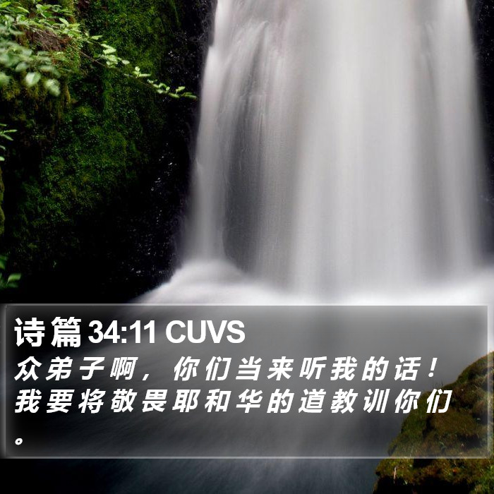 诗 篇 34:11 CUVS Bible Study