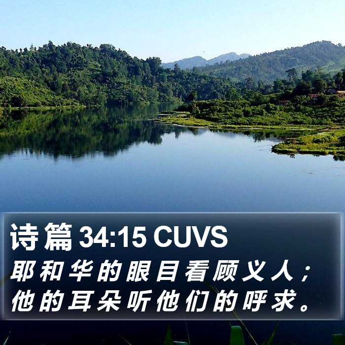 诗 篇 34:15 CUVS Bible Study