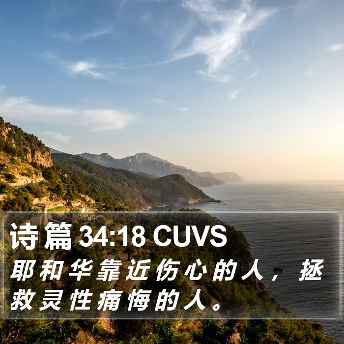 诗 篇 34:18 CUVS Bible Study