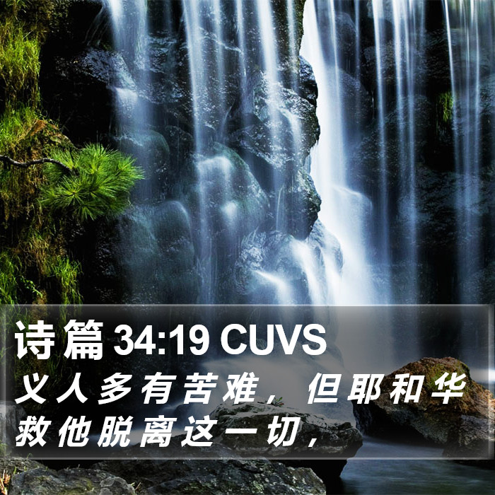 诗 篇 34:19 CUVS Bible Study