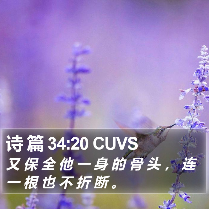 诗 篇 34:20 CUVS Bible Study