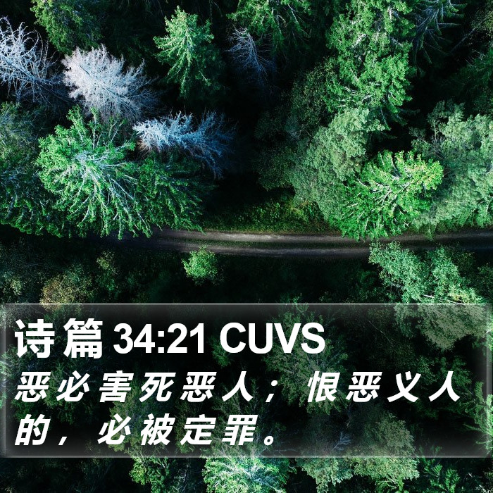 诗 篇 34:21 CUVS Bible Study