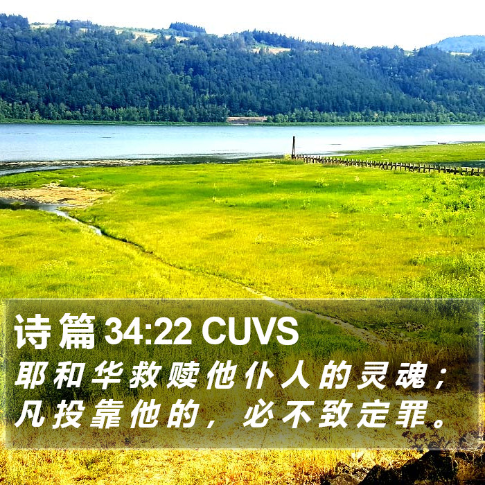 诗 篇 34:22 CUVS Bible Study