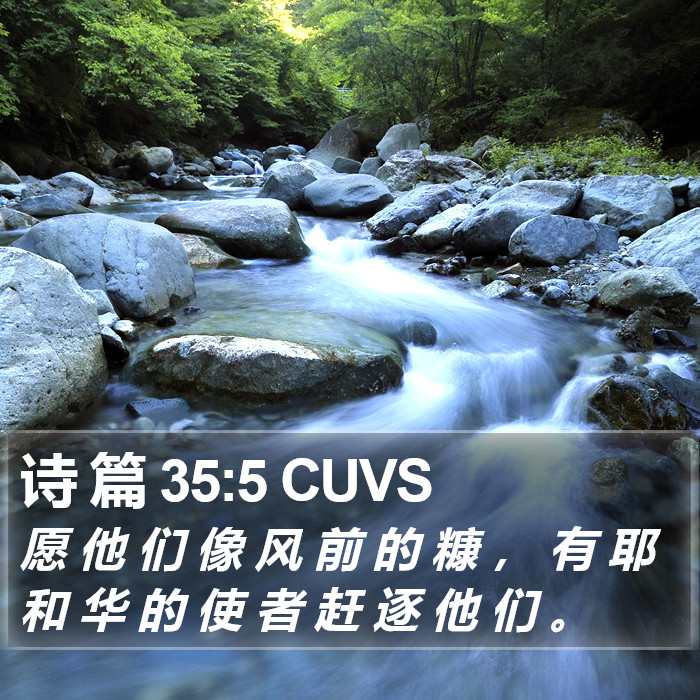 诗 篇 35:5 CUVS Bible Study