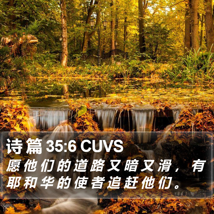 诗 篇 35:6 CUVS Bible Study