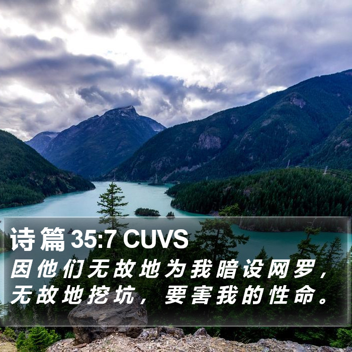 诗 篇 35:7 CUVS Bible Study