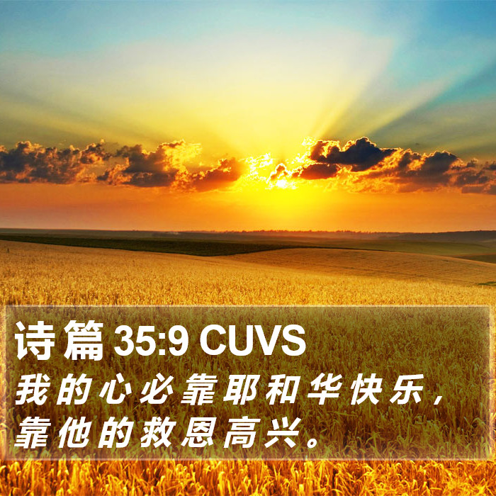 诗 篇 35:9 CUVS Bible Study