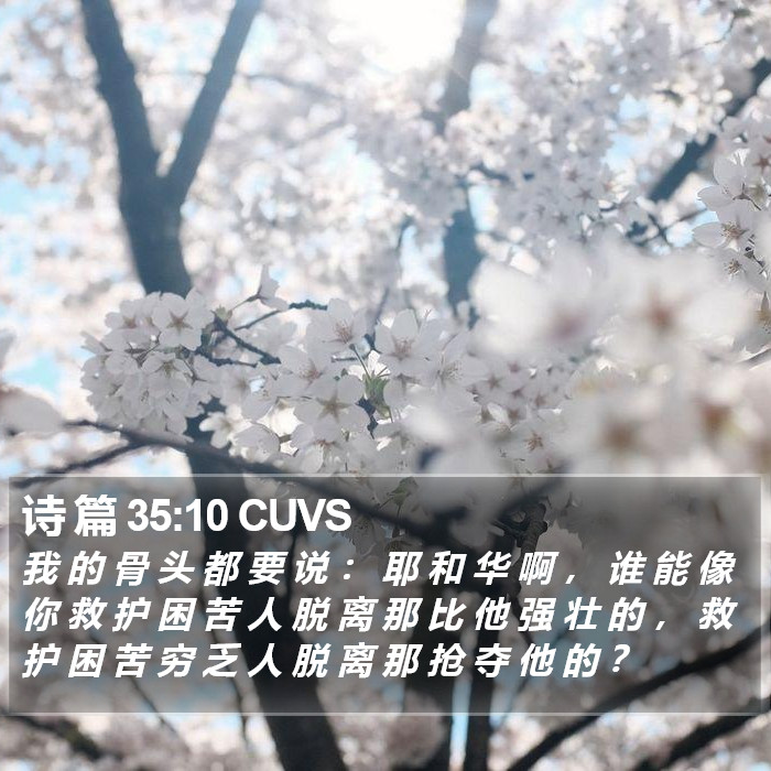 诗 篇 35:10 CUVS Bible Study