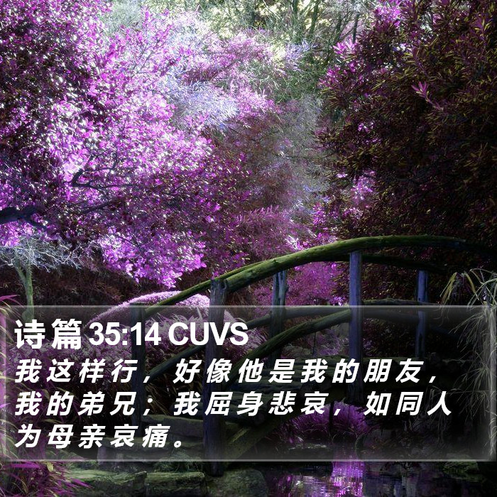 诗 篇 35:14 CUVS Bible Study