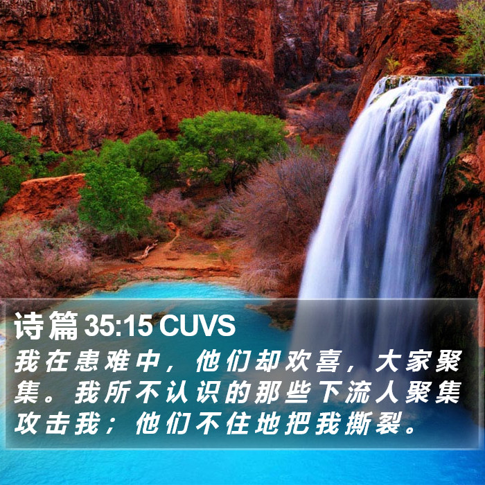 诗 篇 35:15 CUVS Bible Study