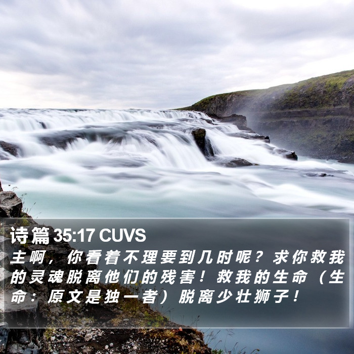 诗 篇 35:17 CUVS Bible Study