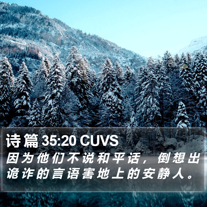 诗 篇 35:20 CUVS Bible Study