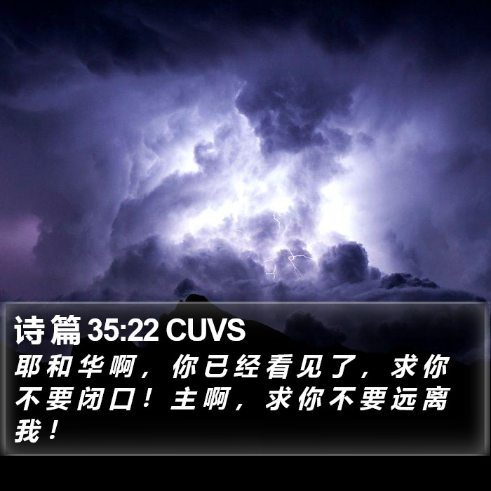 诗 篇 35:22 CUVS Bible Study