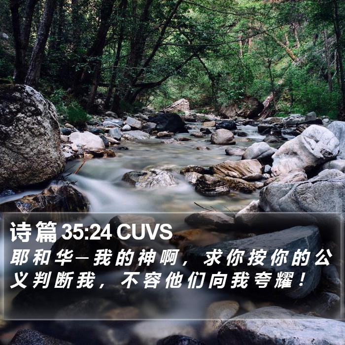 诗 篇 35:24 CUVS Bible Study