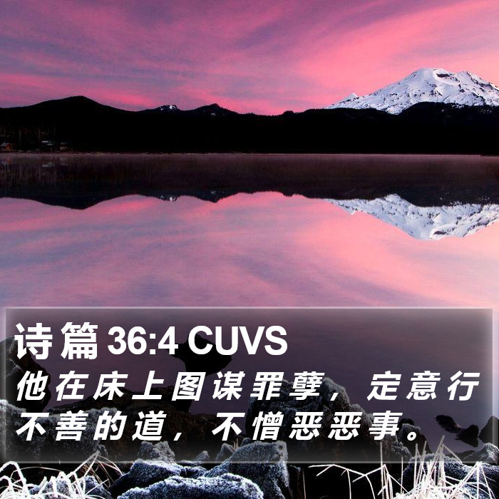 诗 篇 36:4 CUVS Bible Study