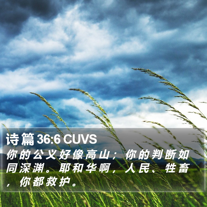 诗 篇 36:6 CUVS Bible Study