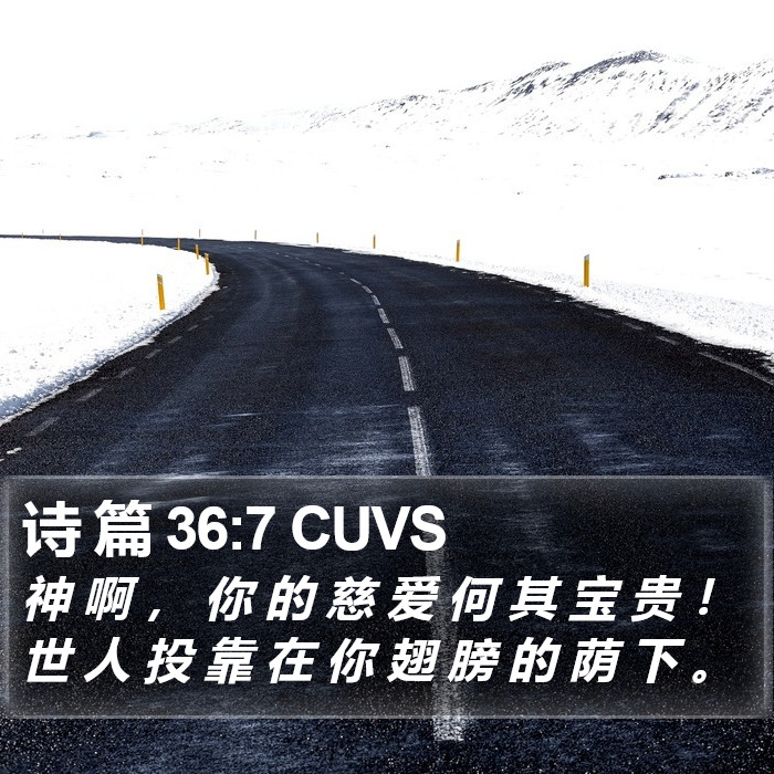 诗 篇 36:7 CUVS Bible Study