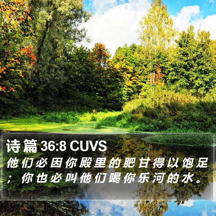 诗 篇 36:8 CUVS Bible Study