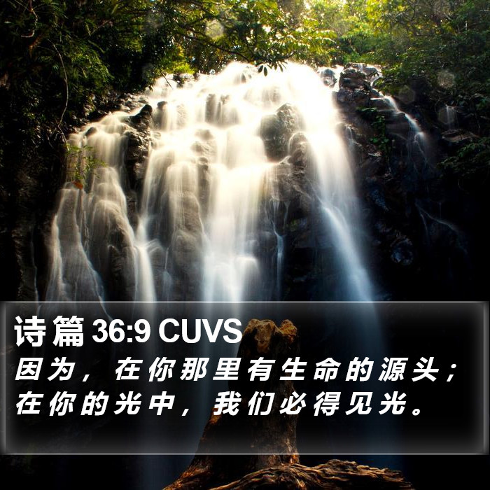 诗 篇 36:9 CUVS Bible Study