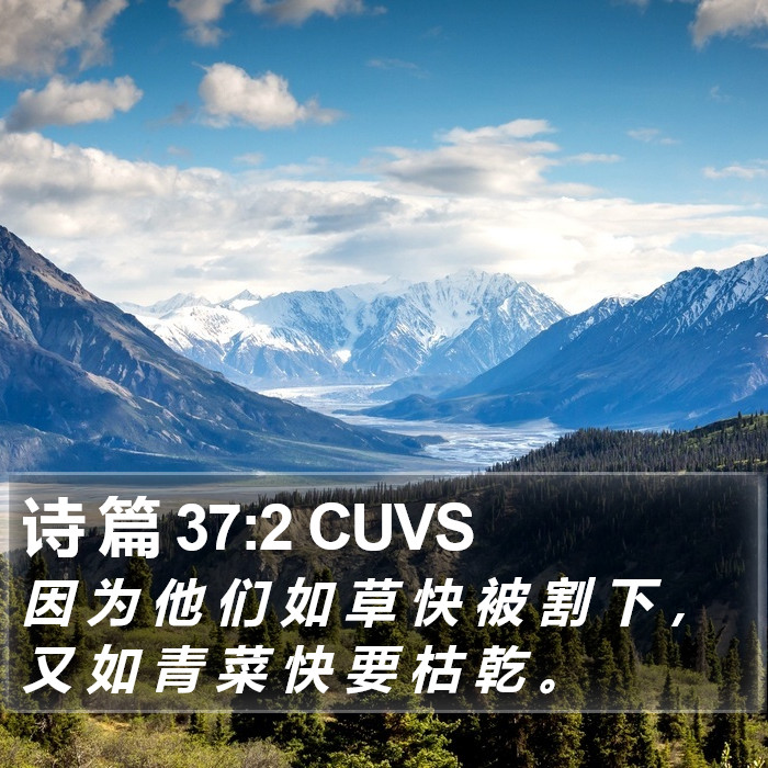 诗 篇 37:2 CUVS Bible Study