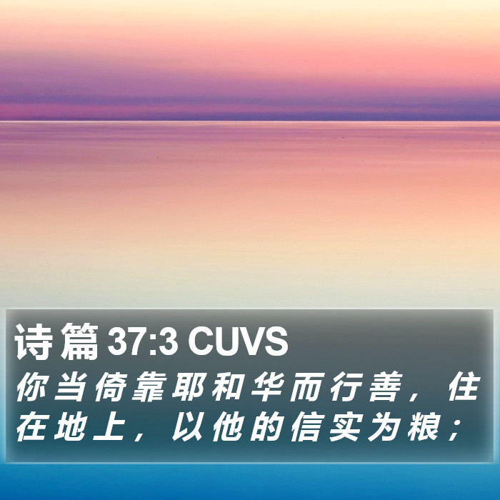 诗 篇 37:3 CUVS Bible Study