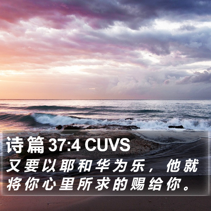 诗 篇 37:4 CUVS Bible Study