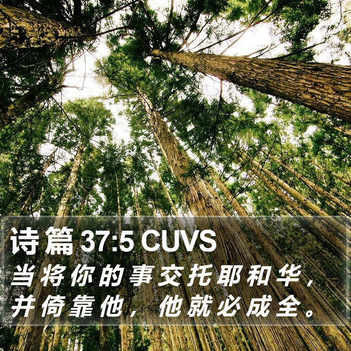 诗 篇 37:5 CUVS Bible Study