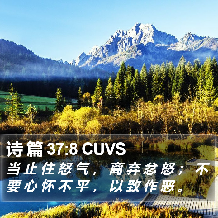 诗 篇 37:8 CUVS Bible Study