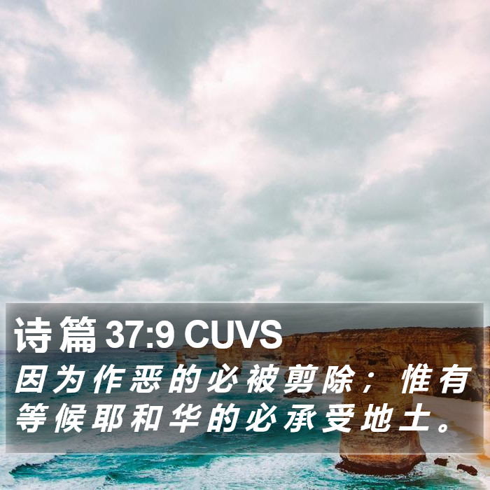 诗 篇 37:9 CUVS Bible Study
