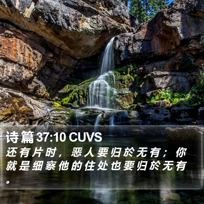 诗 篇 37:10 CUVS Bible Study
