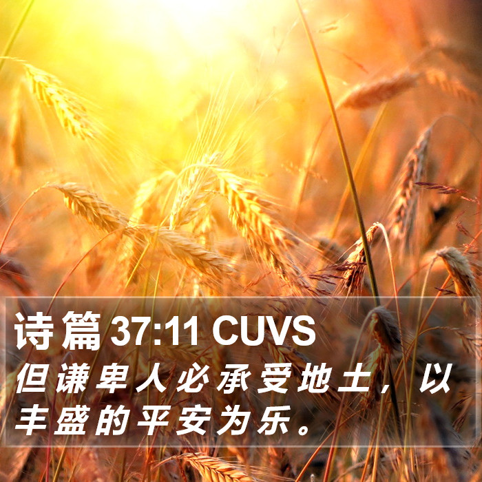 诗 篇 37:11 CUVS Bible Study