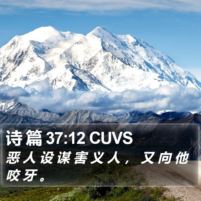 诗 篇 37:12 CUVS Bible Study