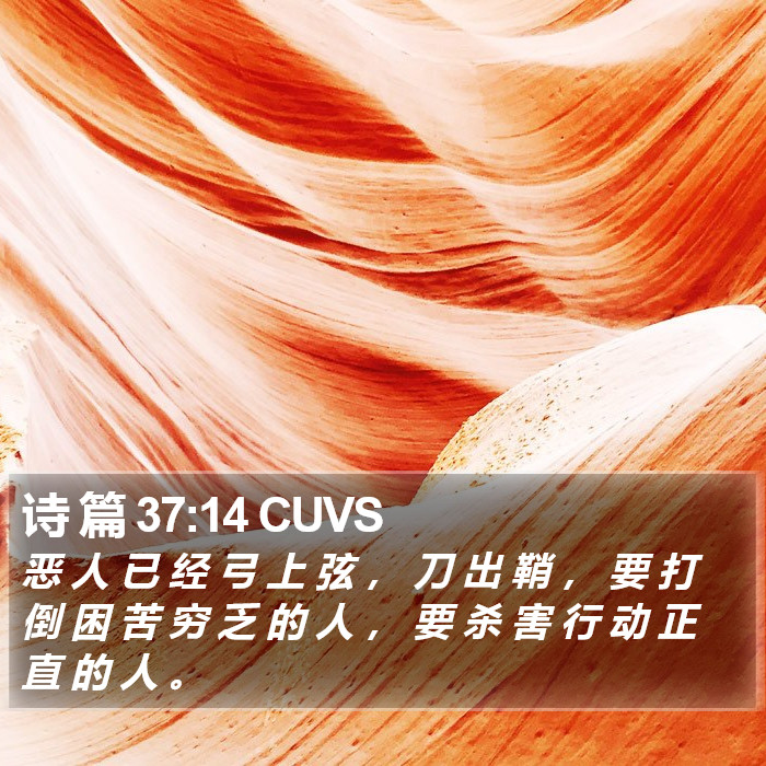诗 篇 37:14 CUVS Bible Study